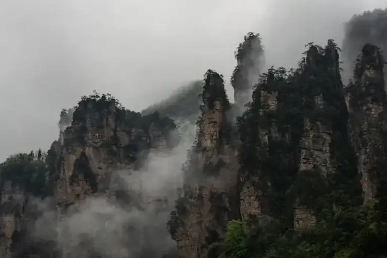 Misty forest path on Mount Qingcheng in Dujiangyan